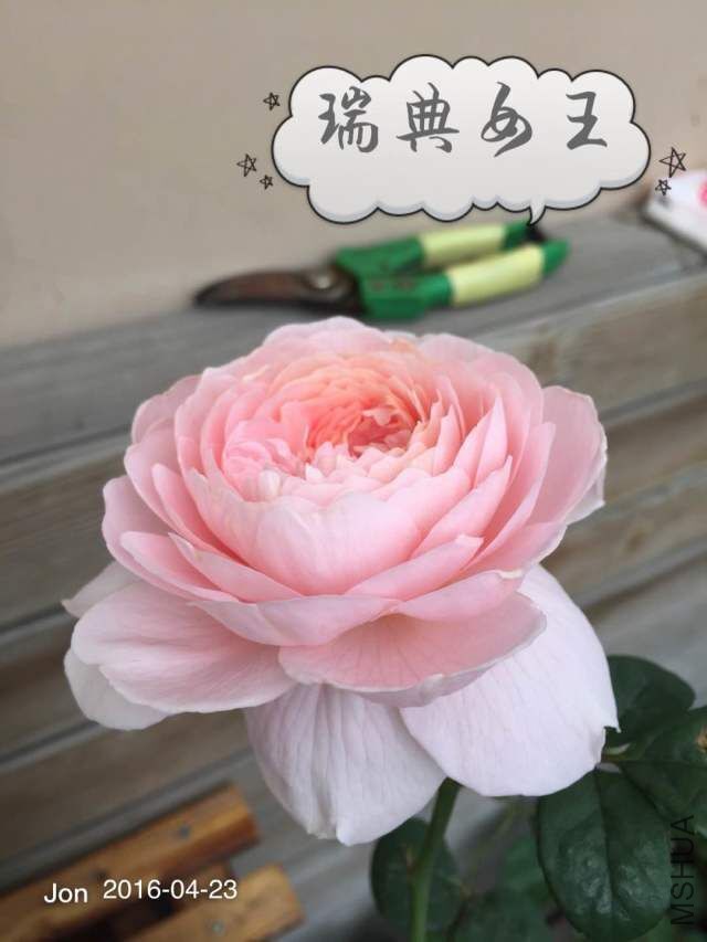 QQͼƬ20160512221934.jpg