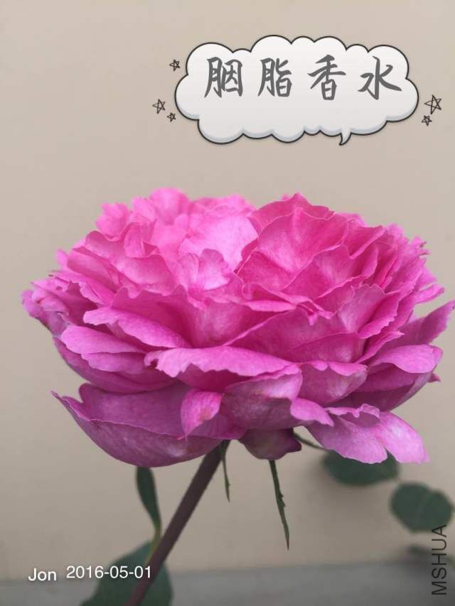 QQͼƬ20160512221917.jpg