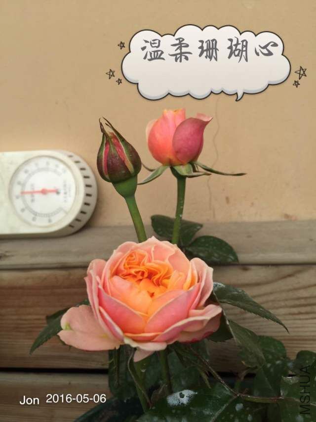QQͼƬ20160512221749.jpg
