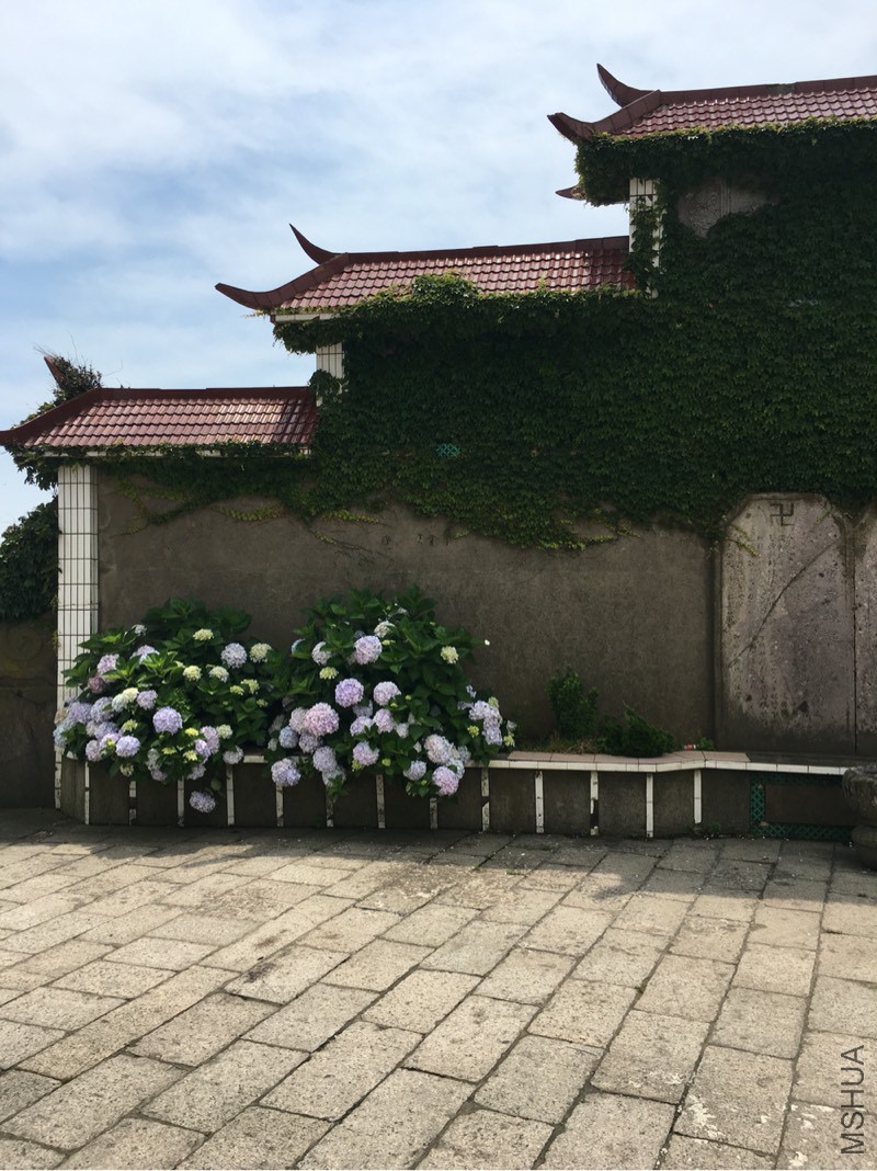 221401c1511x41xeow77px.jpg