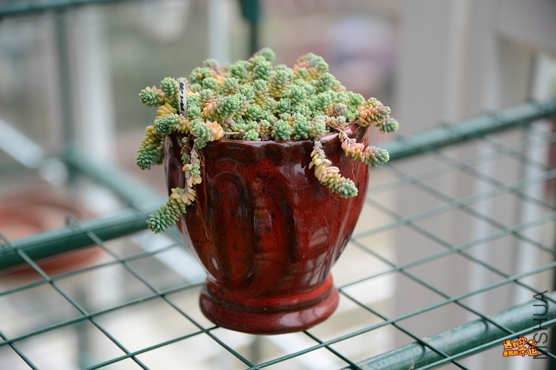 ��Ƭ 028_����.jpg