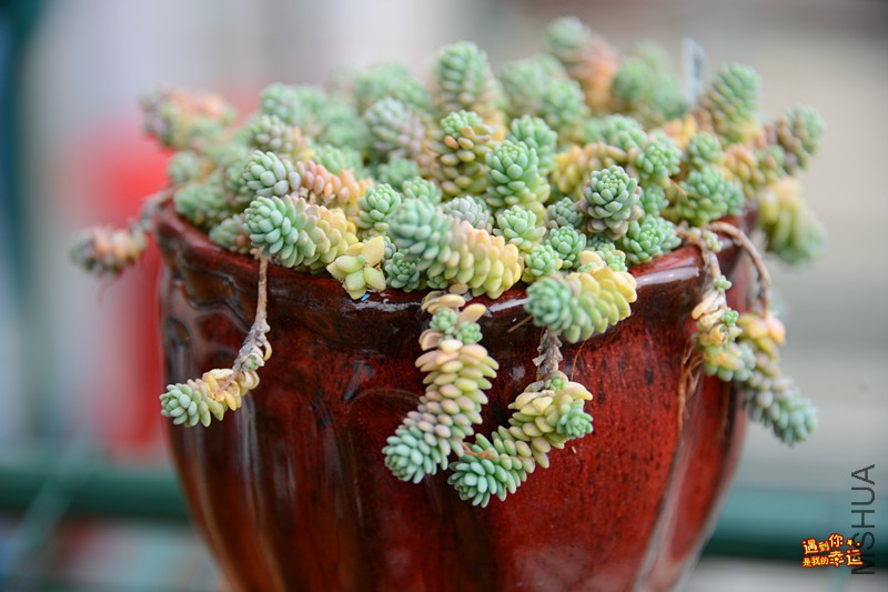 ��Ƭ 035_����.jpg