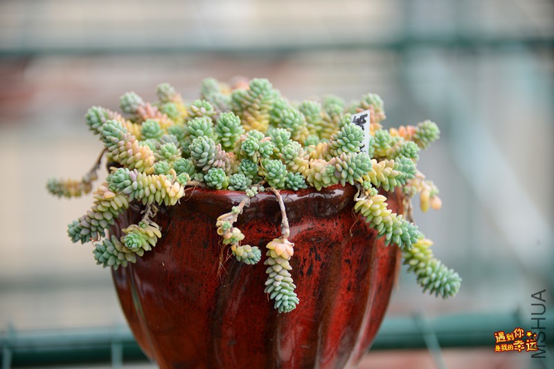 ��Ƭ 034_����.jpg