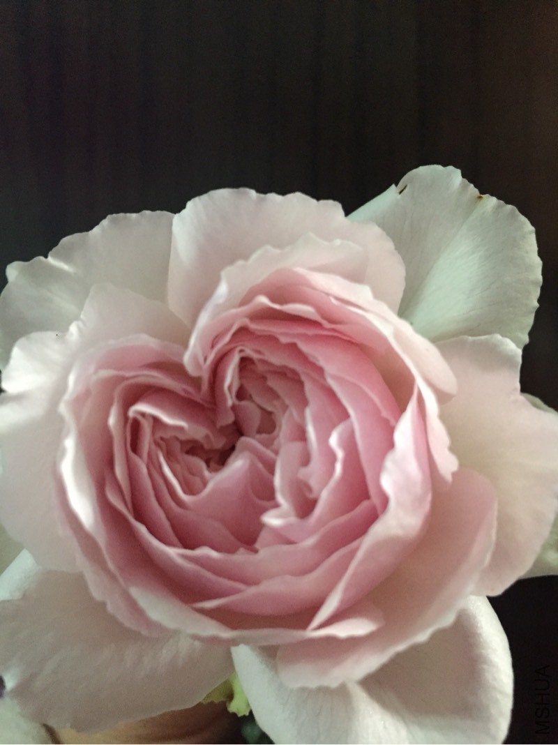 201132n04gkteg0nmh4hk3.jpg