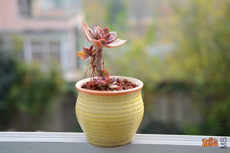 ��Ƭ 079_����.jpg