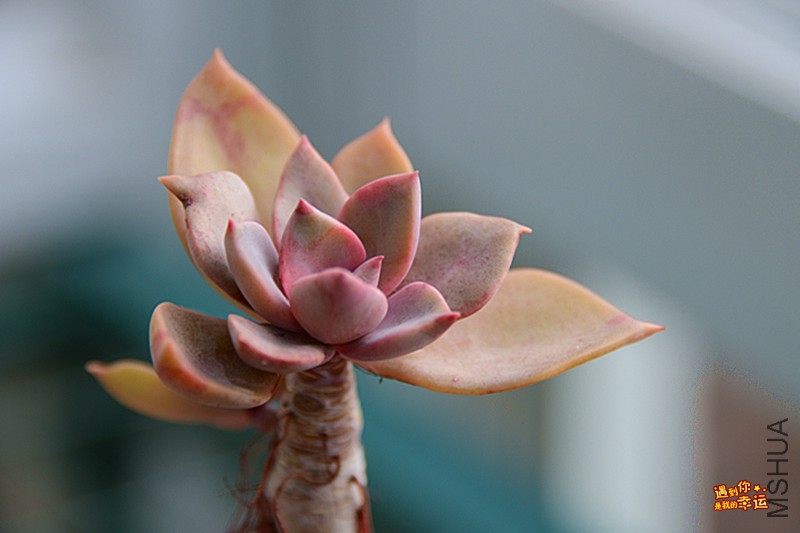 ��Ƭ 083_����.jpg