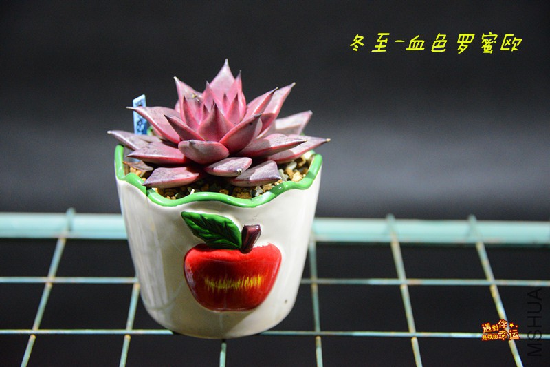 ��Ƭ 038_����.jpg