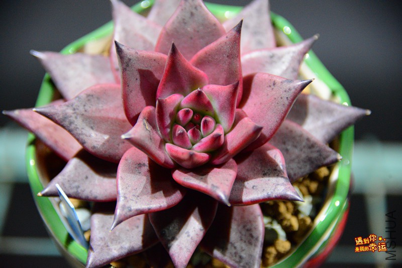 ��Ƭ 041_����.jpg