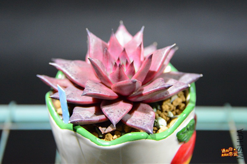 ��Ƭ 040_����.jpg