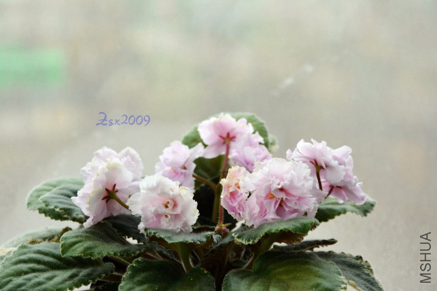 DSC_3454.JPG