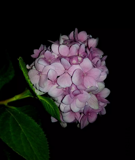 QQͼƬ20161231183628.png