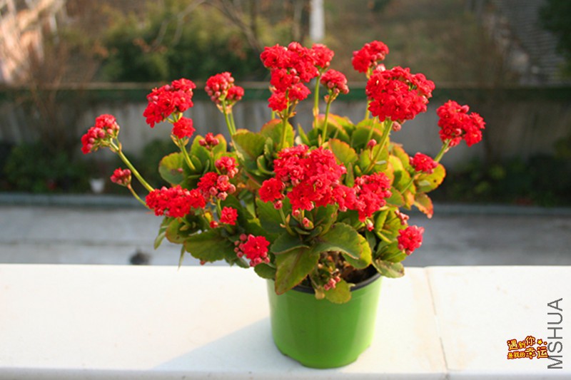 ��Ƭ 303_����.jpg