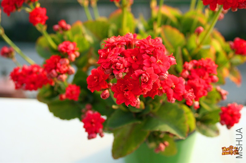 ��Ƭ 306_����.jpg