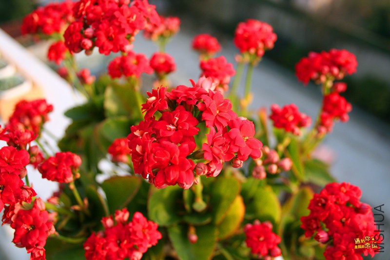 ��Ƭ 307_����.jpg