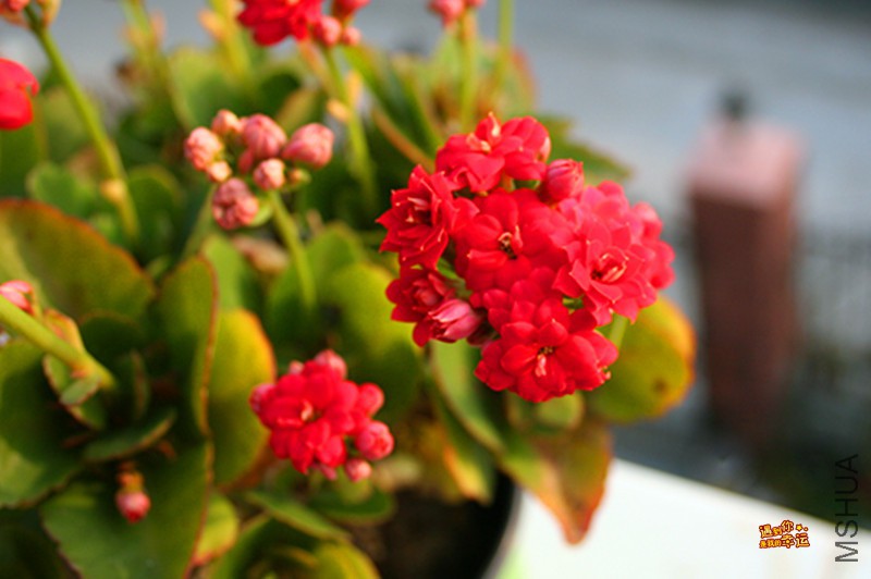 ��Ƭ 309_����.jpg