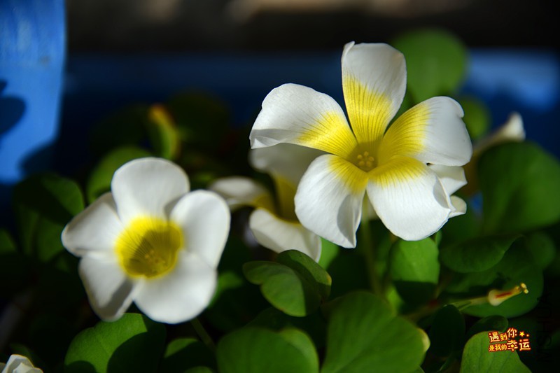 ��Ƭ 052_����.jpg