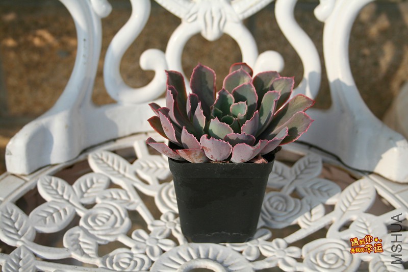 ��Ƭ 226_����.jpg