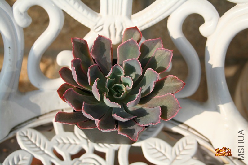 ��Ƭ 228_����.jpg