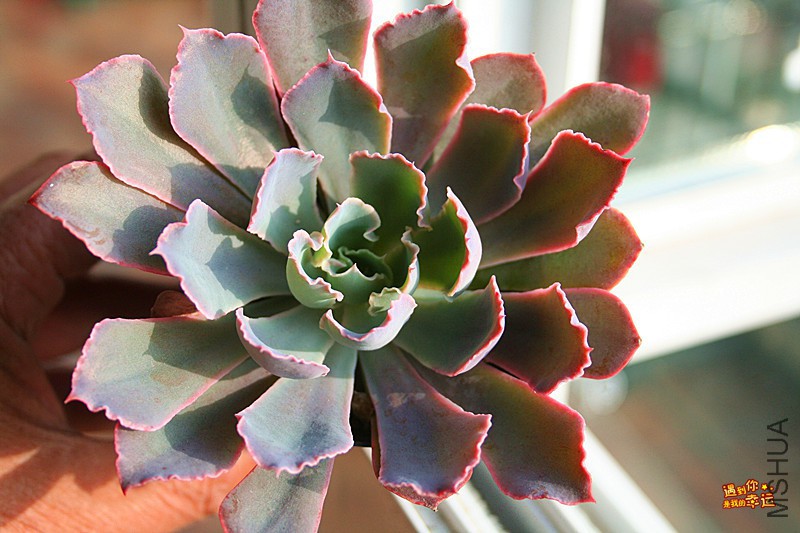 ��Ƭ 232_����.jpg