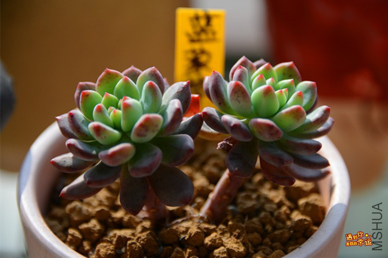 ��Ƭ 001_����.jpg