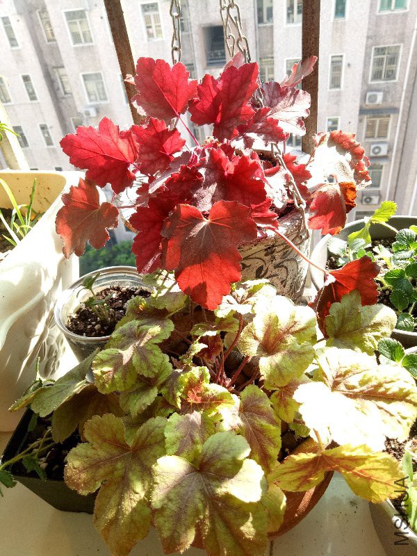 IMG20170102142256.jpg