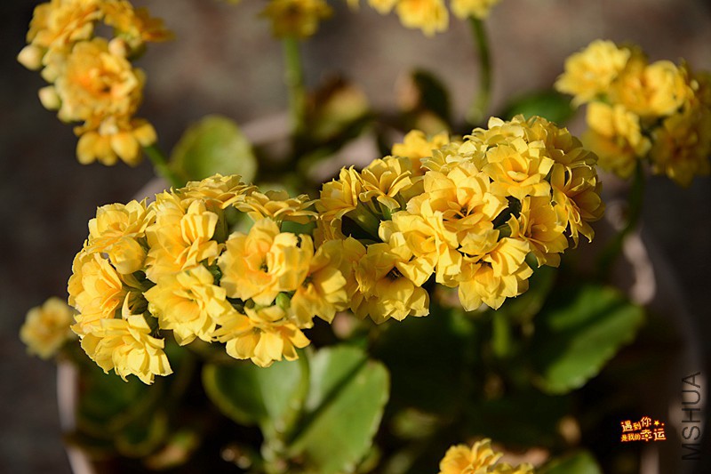 ��Ƭ 012_����.jpg