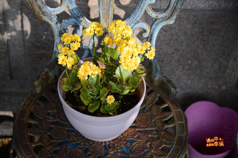 ��Ƭ 009_����.jpg