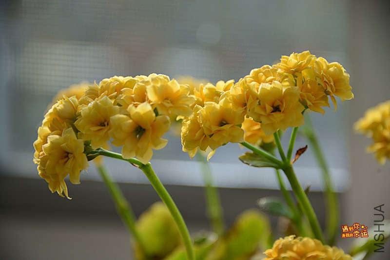 ��Ƭ 014_����.jpg