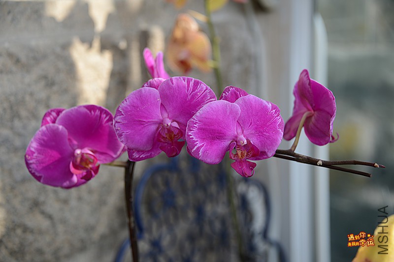 ��Ƭ 035_����.jpg