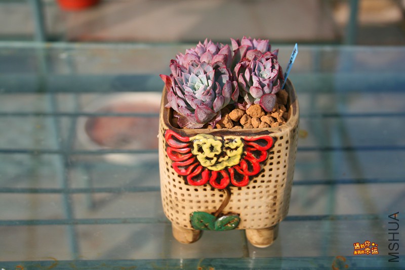 ��Ƭ 185_����.jpg