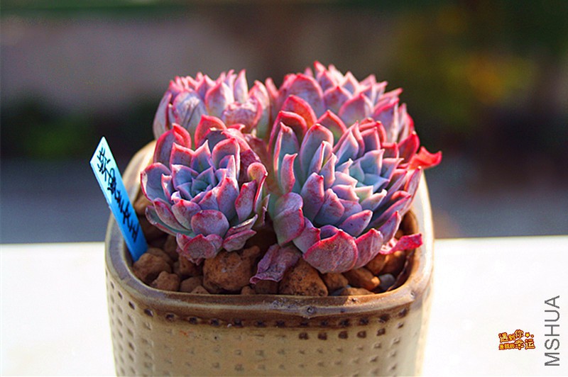 ��Ƭ 189_����.jpg