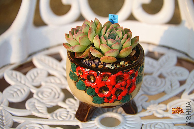 ��Ƭ 486_����.jpg