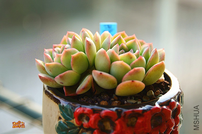 ��Ƭ 490_����.jpg