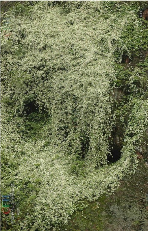 2015-12-02 21 59 42.jpg