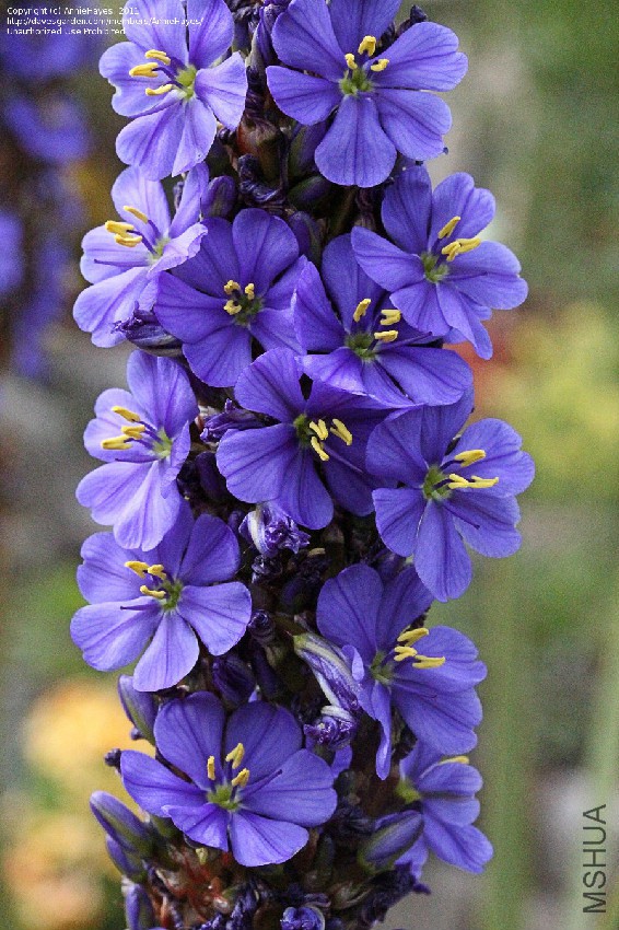 09b970.jpg