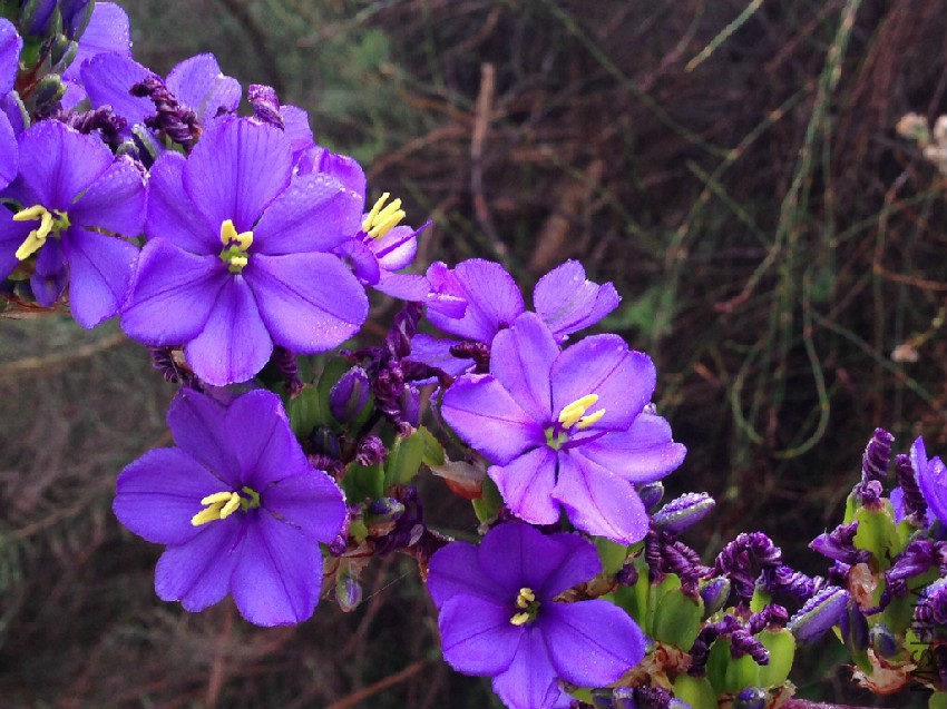 image37.jpg