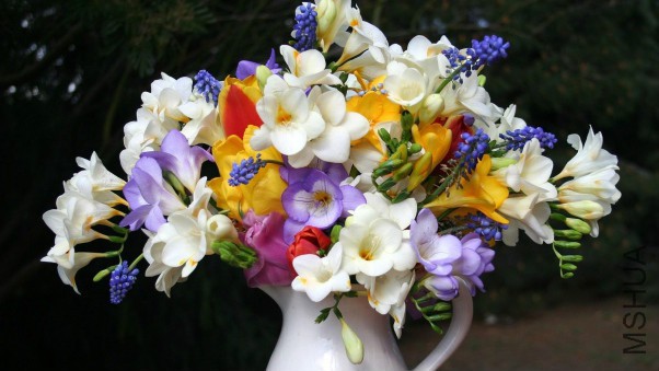 freesia_muscari_flowers_pot_beautifully_42165_602x339.jpg
