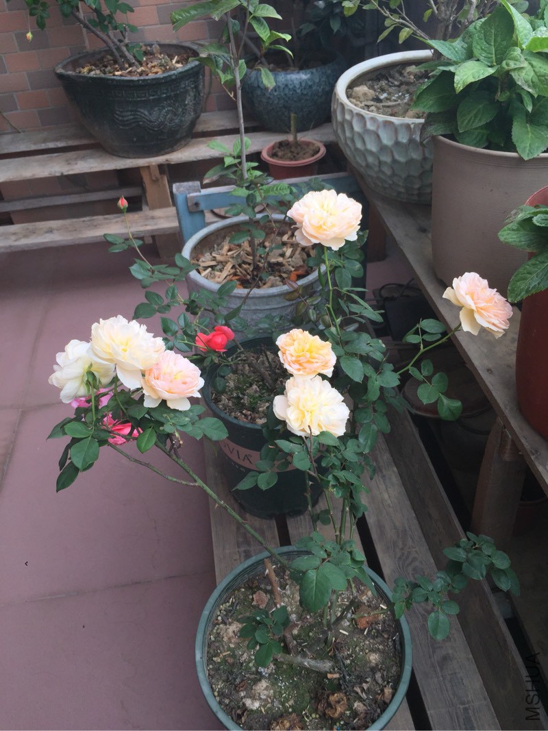 180923nhqtletcv252lsvh.jpg