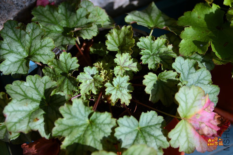 ��Ƭ 056_����.jpg