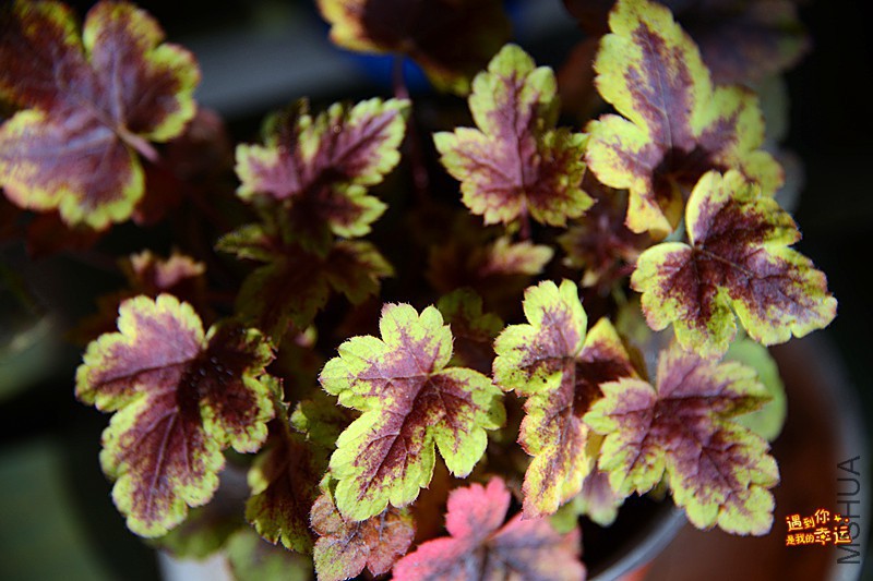 ��Ƭ 057_����.jpg