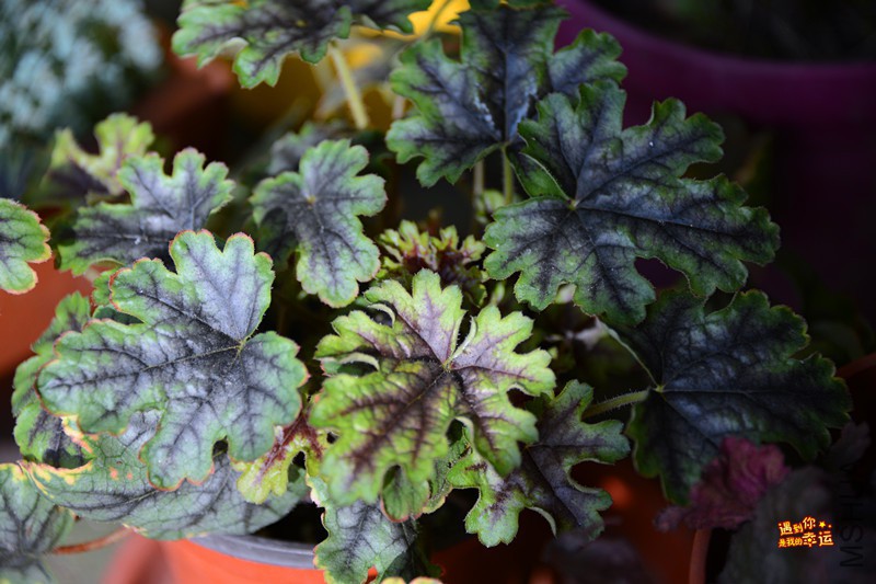 ��Ƭ 059_����.jpg