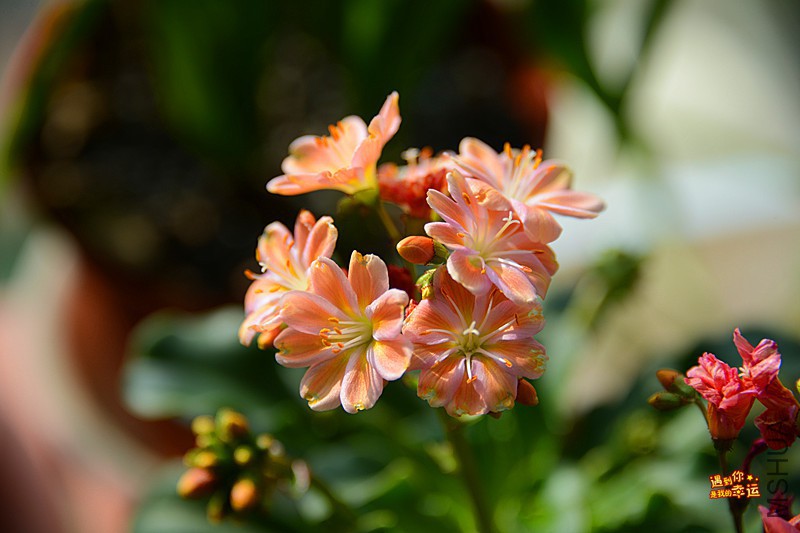 ��Ƭ 031_����.jpg