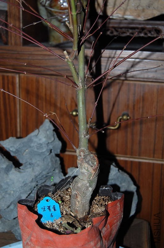 DSC_03760058.JPG