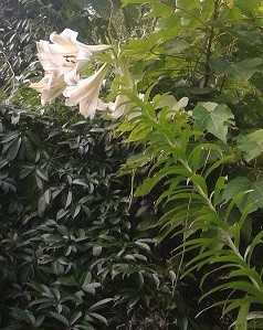 20160706_182504 - ����.jpg