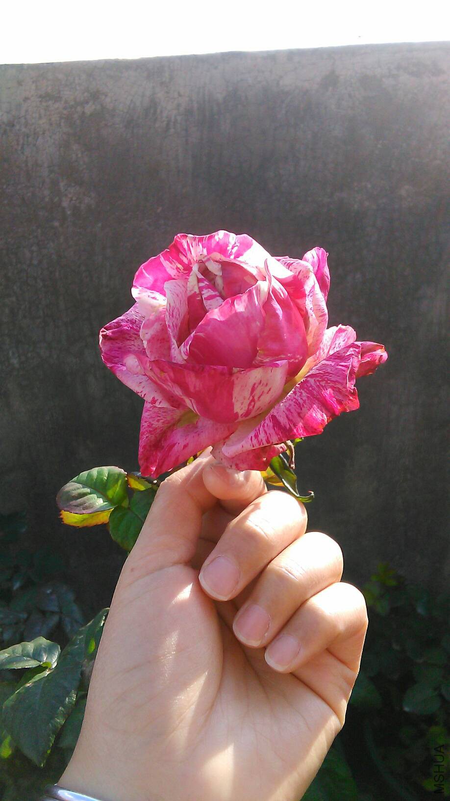 163446al3ljp3fb9z99oog.jpg