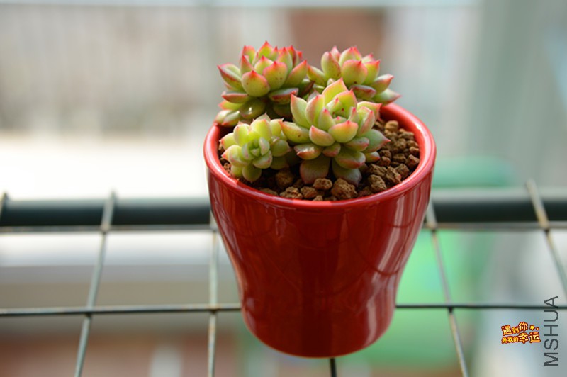 ��Ƭ 024_����.jpg