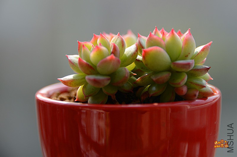 ��Ƭ 030_����.jpg