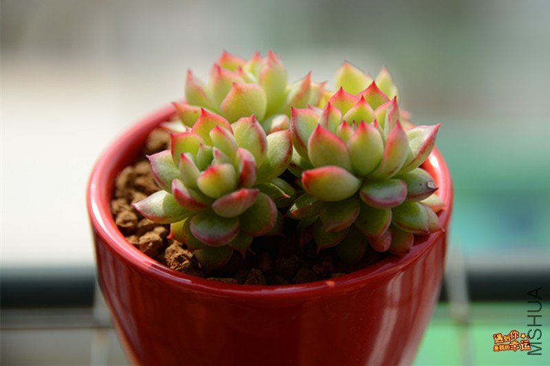 ��Ƭ 027_����.jpg