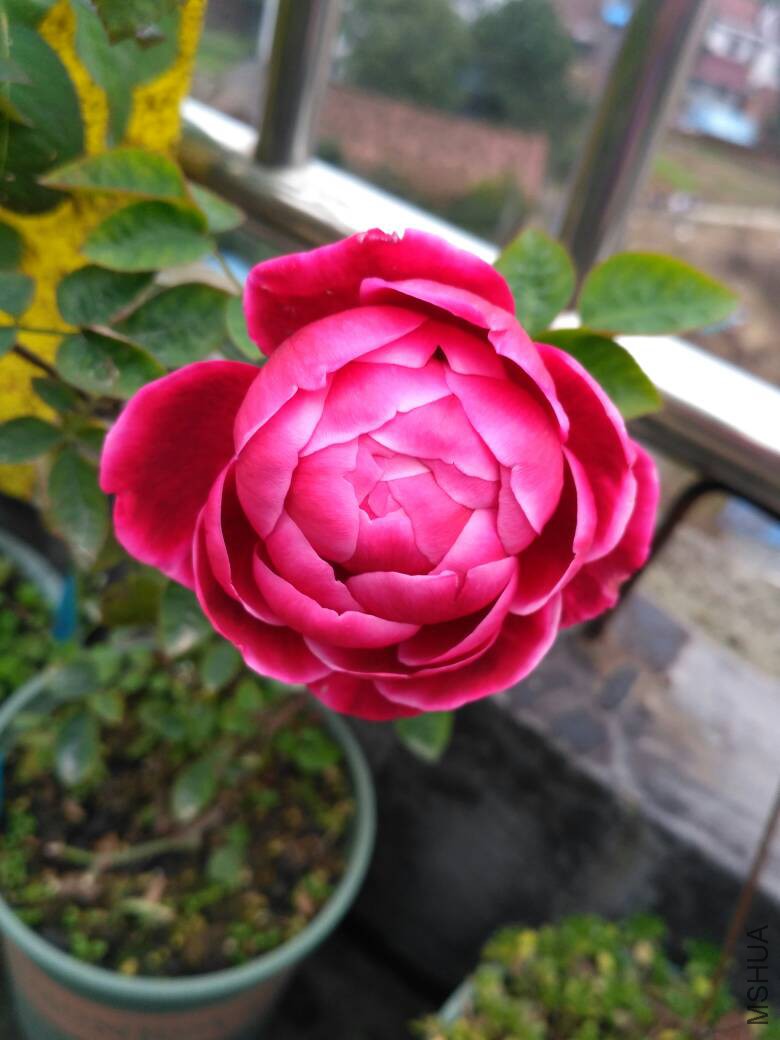 230053g3j484n01ajn14j1.jpg
