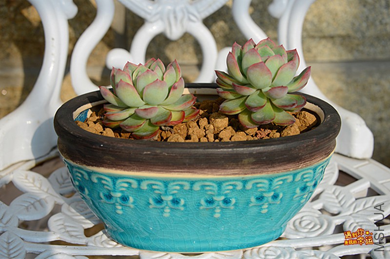 ��Ƭ 036_����.jpg